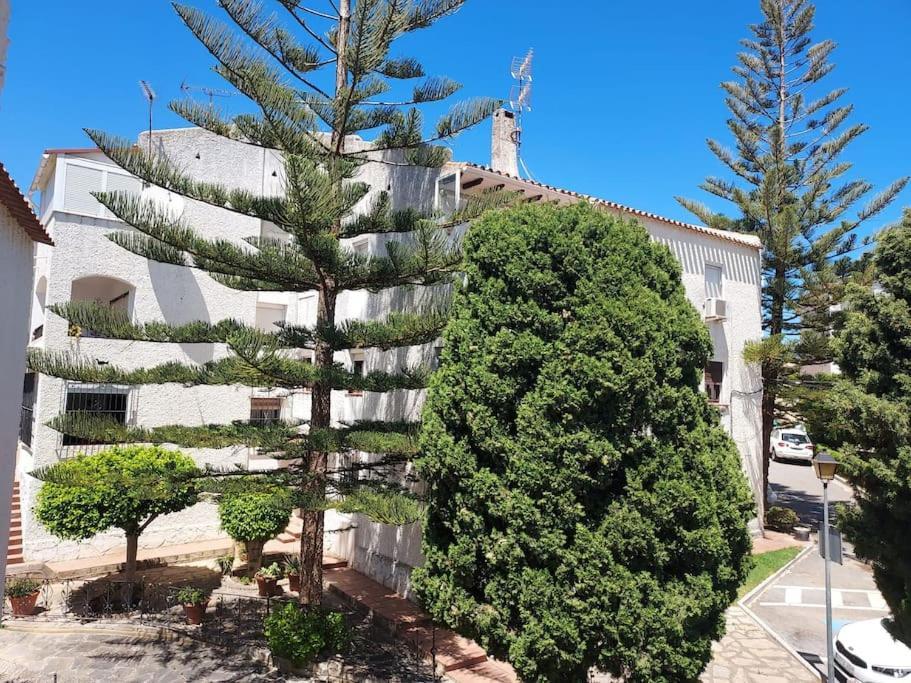 Apartamento A 150 Metros De La Playa Y Del Puerto Deportivo Эстепона Экстерьер фото