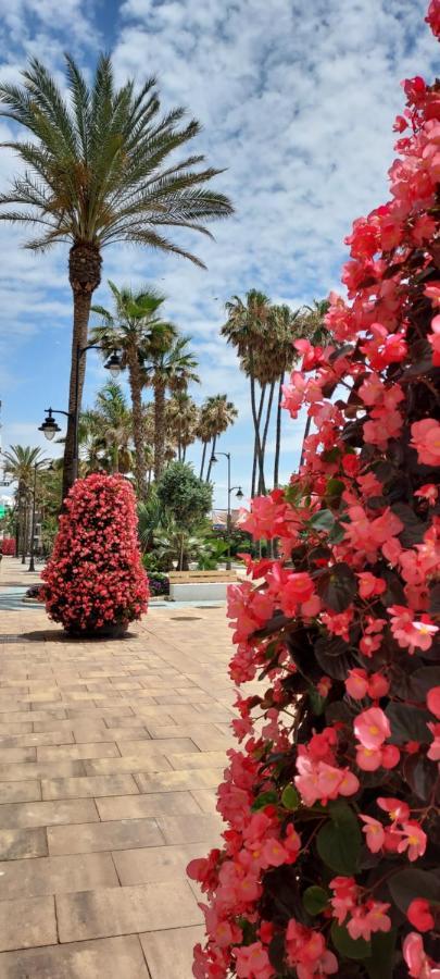 Apartamento A 150 Metros De La Playa Y Del Puerto Deportivo Эстепона Экстерьер фото